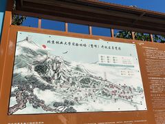 -北京鹫峰国家森林公园
