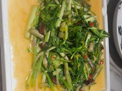 -滇铺子·云南特色菜·鲜花野菜季(曲靖万达店)