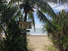 -三亚海棠湾万丽度假酒店