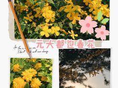 -元大都城垣遗址公园