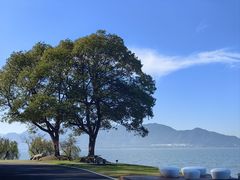 -东钱湖旅游度假区