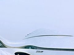 -哈尔滨大剧院