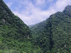 -龙窝子