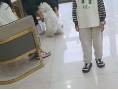 -天宠宠物医院24小时·急重症诊疗中心·全科·腔镜特色(和平分院)