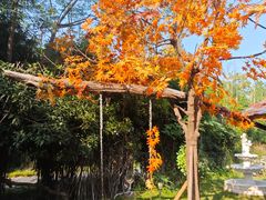 -HERRE·FARM 赫尔露营农场·团建聚会包场