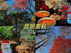 -翡翠鸟精品泰国菜(北辰财富中心店)