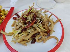 干煸鱿鱼-北戴河庆山饭店·海鲜砂锅粥(北戴河黑石路店)