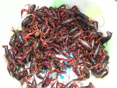 -红土地(地铁站)