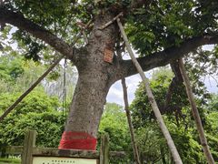 -福建鲤鱼洲酒店