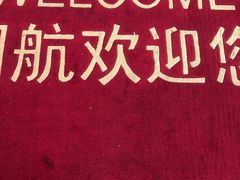 -上海浦东国际机场-T2航站楼
