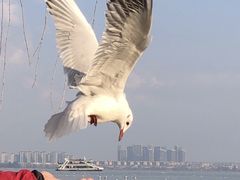 -滇池海埂公园