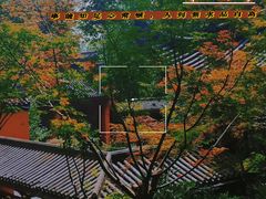-灵隐飞来峰景区