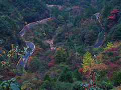 -大明山自然探索公园
