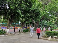 -金砂公园