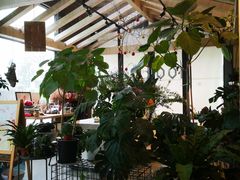 -GOTLOT COFFEE&KITCHEN角落厨房NOOK店
