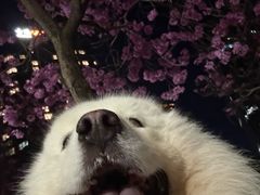 -天河体育中心