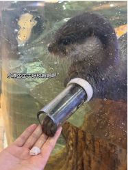 -Zoolung Zoolung动物主题公园(海信广场店)