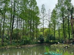 -苏州河梦清园环保主题公园