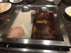 鸳鸯锅-皇城老妈·大连海鲜火锅(港湾店)