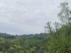 -桃源山庄·烤全羊·柴火鸡·烧烤团建(龙泉山店)