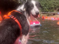 -安吉龙王山峡谷漂流