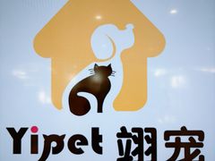 -翊宠yipet猫狗购宠庄园犬舍•猫舍