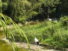 -杭州野生动物世界