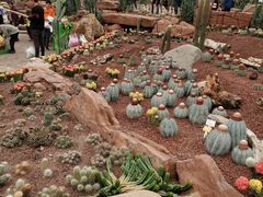 -南通洲际绿博园