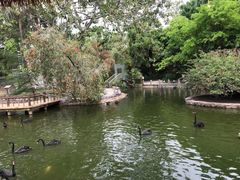 -深圳野生动物园
