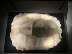 -金沙遗址博物馆