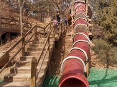 -北京西山国家森林公园