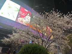 -上海世纪汇广场