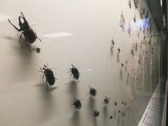-香港科学馆
