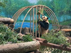 -杭州动物园