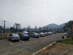 -大姆山草场