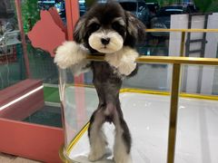 -FAELING PETS美天灵宠物(合生汇店)