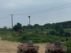 -长沙黑麋峰国家森林公园