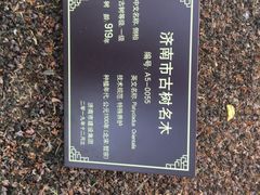 -超意兴·把子肉(大一店)