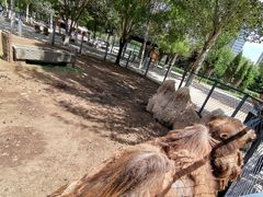 -长白岛森林公园