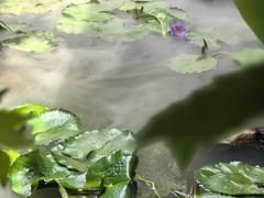 -绣园·茶食宴(湘绣博物馆店)