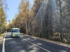 -五营红松林海景区