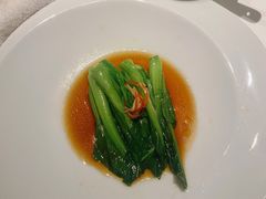 -觀芷隐轩