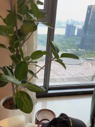 -颜和骨正&明星徒手小颜整骨