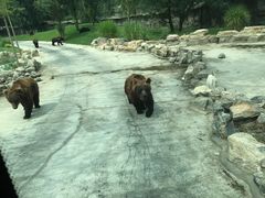 -北京野生动物园