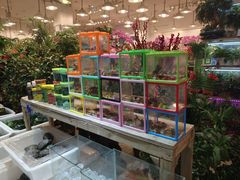 -双季花艺园艺市场(浦东店)