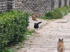 -春风习习