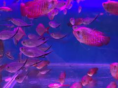 -三旗百汇商品城