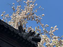 -潭柘寺景区
