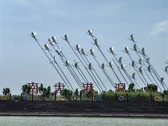 -南大港湿地风景区