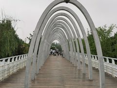 -大兴滨河森林公园